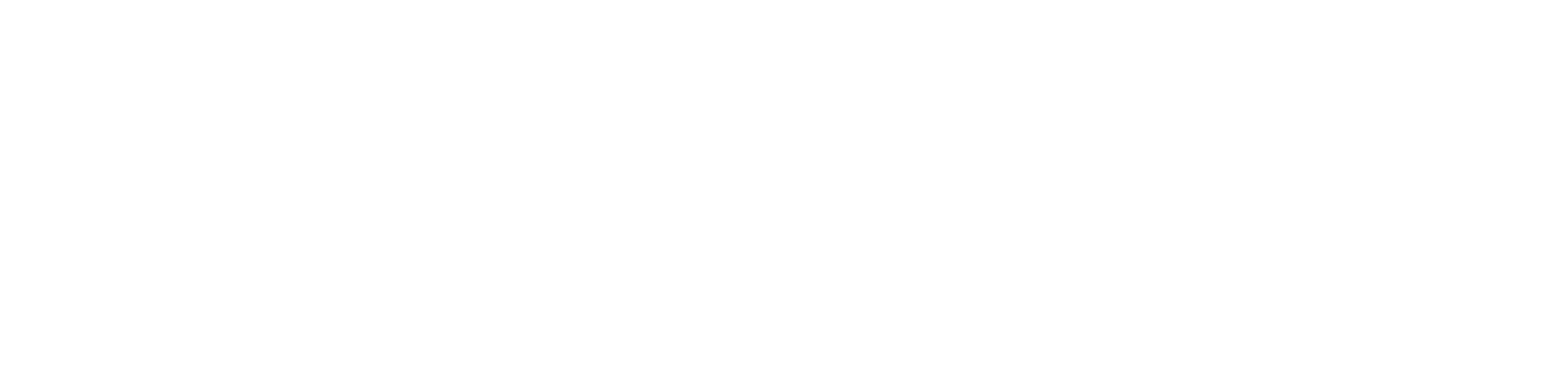 European Consulting Partners